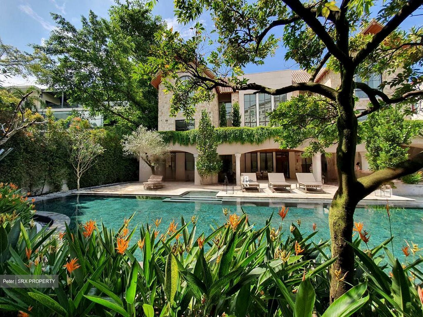 Shamrock Park (D10), Detached #488150221